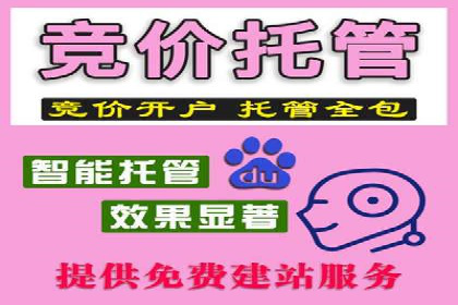 SEM推广代运营的五大经典案例分享
